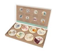 STONEGLOW CANDLES LONDON Elements - Wax Melt Discovery Set - 8 x 60mm Botancial Soy Wax Melts