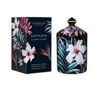 Stoneglow Candles Urban Botanics Tumbler Candle - Cattleya Ylang Ylang