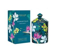 Stoneglow Candles Urban Botanics Tumbler Candle - Osmanthus Bergamot