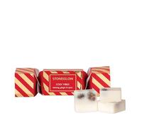 Stoneglow Seasonal Collection - Cosy Vibes Cracker - Nutmeg, Ginger & Spice - Botanical Soy Wax Melts x 3