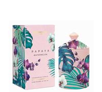 Stoneglow Urban Botanics Tumbler - Papaya Watermelon