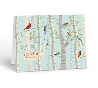 Stonehouse Collection Colorful Birds Thank You Note Card, Birds in Aspen Forest, Blank Inside, Single Greeting Card with Envelope, Nature Woodland Appreciation Card (Birds in Aspens)