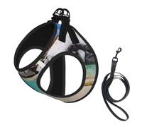 Stones Blue Sea Ocean Sunrise Mountain Pet Leash Vest For Small Dogs Cats Reflective Adjustable Soft Outdoor Walking Hiking Training