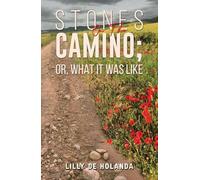 Stones on the Camino; or, What It Was Like