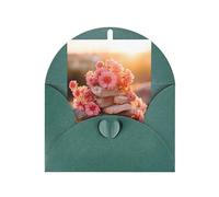Stones with Pink Carnation Print Adorable Blank Cards& Envelopes,Unique Designs Perfect for Festivals, Invitations