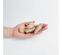 Stones4Gardens 30-60mm Rainbow Sandstone Pebbles Decorative Aggregates 5X20Kg Polybags
