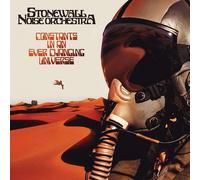 STONEWALL NOISE ORCH - CONSTANTS IN AN EVER CHANGING UNIVERSE - Vinyl - K600z