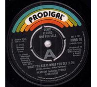 Stoney & Meatloaf - What You See Is What You Get