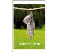 STOOKI Retro Tin Sign,Hang in There Baby cat,Metal Plaque,Vintage Design For Bar Pub Man Cafe Room Garage Courtyard Posters 12x8 Inch
