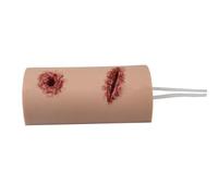 Stop Bleeding Trainer Model, Laceration Simulator Model, Simulates Wound Packing Trainer, For Injury Drill, Classroom Teaching