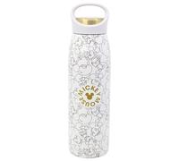STOR Mickey Mouse Stainless Steel Water Bottle 665ml with Leak-Proof Screw Cap and Carry Handle for Everyday Hydration