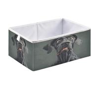 Storage Bin Foldable Storage Cube for Home Organization 15.75x10.63x6.96in Cartoon Funny Great Dane Dogs Fear