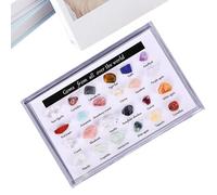 Storage Box for Stone Collections and Crystals - Divided Storage Box for 24 Crystals - Gemstone Display Case - For Collectors, Gemstones, Minerals, Storage, Meditation