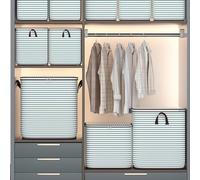 Storage Foldable Storage Bags Use Clothes Closet Organizers Fully Top Opening Containers With Double Zipper For Clothing Blanket Comforters And Toys (C, One Size)