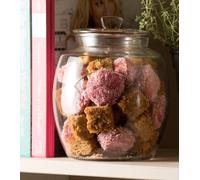 Storage Jar 4L Clear Glass Cookie Biscuit Sweets Airtight Lid Storage Container