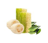 STORELUXY 2-Pack 260gr Aloe Vera Soap Bar With Pumpkin Fiber Natural Handmade Loofah | Oil Balance, Reduces Dryness, Collagen, Cures Blackheads and Acne, Vitamins C and E, Anti Ageing Skincare