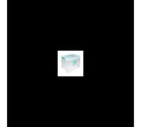Storestack Storage Box Clear 36L