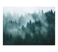 Stories of Life Mural Misty Forest Mural 398981