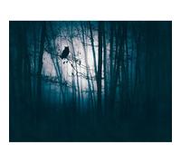 Stories of Life Mural Moonlit Owl Mural 399091
