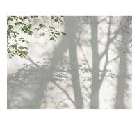 Stories of Life Mural Shaded Woodland Mural 399251