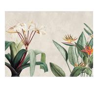 Stories of Life Mural Tropical Allure Mural 399171
