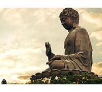 Stories of the Buddha