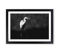 Stork Bird Painting Framed Print | A2 Black Framed Wall Art | Ready to Hang | Modern Historical Picture | Living Room Bedroom Lounge Office