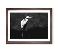 Stork Bird Painting Modern Art Framed Print | A3 Walnut Framed Wall Art | Ready to Hang | Modern Historical Picture | Living Room Bedroom Lounge Office