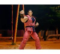 Storm Arena Street Fighter Zero 3 Dan 1/12 Scale Collector Action Figure