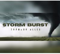 Storm Burst: Tornado Alley PC Steam CD Key