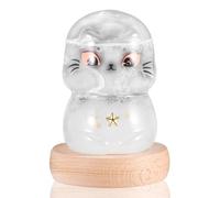 Storm Glass Weather Forecaster - Cute Cat Barometer, Unique Indoor Gift for Women's Day