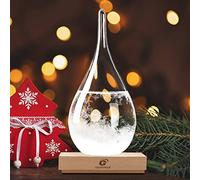 Storm Glass Weather Forecaster Weather Station Weather Predictor Barometer Stylish and Creative Desktop Weather Forecaster with Wooden Base Home and Office Decorations Christmas Decorations