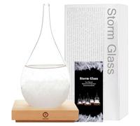Storm Glass Weather Predictor,Christmas Snow Globe Storm Glass Barometer Weather Predictor, Home and Office Decorative Glass Bottles, Christmas Unique Gifts for Her (L)