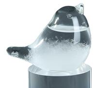 Storm Glass Weather Predictor Robin, Weather Stations Forecaster Barometer for Valentines Day Gifts, Unique Gift for Birthday, Crystal Barometer Bottles for Decoration, Craft Bird Shape(Look up)