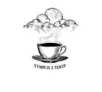 Storm In A Teacup T-Shirt - White - 5XL - White