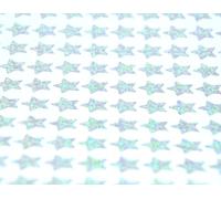 Storm&Lighthouse Age 3+ 600 x Star Stickers Silver Stickers Stars Mini Teacher Reward Stickers Scrapbook Stars for Crafts Glitter Art and Craft Classroom Resource (Silver)