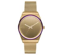 STORM MINI CIRERO Gold Women's Watch with Lazer Coloured Rim