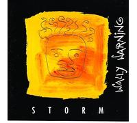 storm (reggae-funk-rock) rock