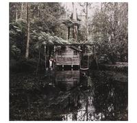 Storm The Sky - Permanence