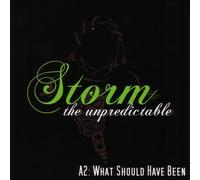 Storm the Unpredictable - A2: What Should Have Been