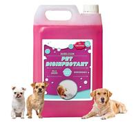 Storm Trading Group 1 X 5 Litre Pet Disinfectant Fresh Bubble Gum Breaks Down Odours Including Sweat, Urine & Faeces