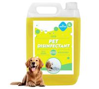 Storm Trading Group 1 X 5 Litre Pet Disinfectant Fresh Lemon Breaks Down Odours Including Sweat, Urine & Faeces