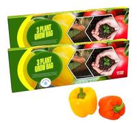 STORM TRADING GROUP 3 Plant Grow Bags With Balanced Nutrients For Fruit & Veg Ideal Grow In Greenhouses (24 Litres (1 Bag))