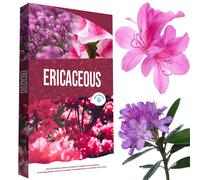 STORM TRADING GROUP 60L Ericaceous Plant Soil Specially Formulated With Essential Nutrients - 1 Bag (50L)