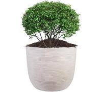 STORM TRADING GROUP Extra Large Stone Effect Amalfi Round Flower & Tree Planter (XL) Ideal For Home, Balconies, Gardens, Greenhouses & Patios 60cm Wide x 56cm Height (1)