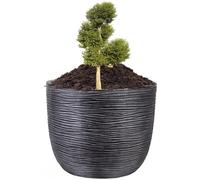 STORM TRADING GROUP Pewter Grey Giant Large Round Flower & Tree Planter (XL) Ideal For Home, Balconies, Gardens, Greenhouses & Patios 60cm Wide x 56cm Height (1)