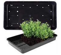 STORM TRADING GROUP Plastic Heavy Duty Seed Trays With Strong Rim For Extra Rigidity Ideal For Gardens & Greenhouses - 12 x