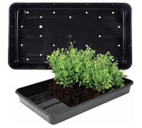 STORM TRADING GROUP Plastic Heavy Duty Seed Trays With Strong Rim For Extra Rigidity Ideal For Gardens & Greenhouses - 6 x