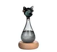 Storm Weather Predictor ， Barometer Forecaster ，Weather Station Cloud Storm Crystal ，Weather Forecast Bottle ，storm glass， predicting storm glass
