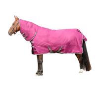Stormx Empra 200 Combi Combo Neck Horse Turnout Rug Purple (4 6")